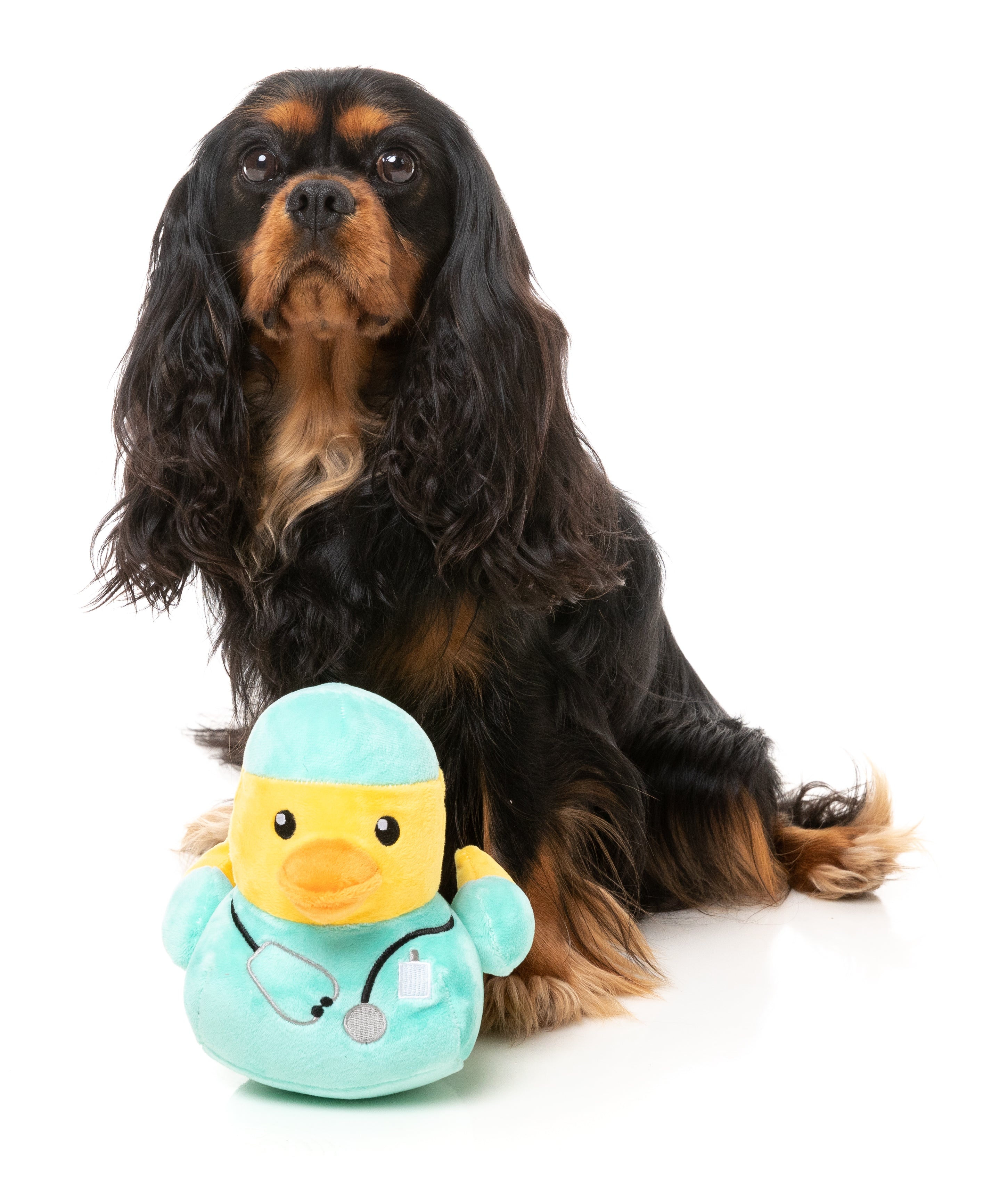 Ducktor - Dog Toy