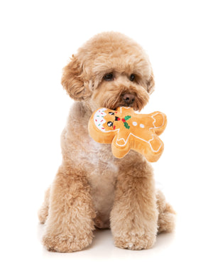 Fred The Gingerbread L - Dog Toy