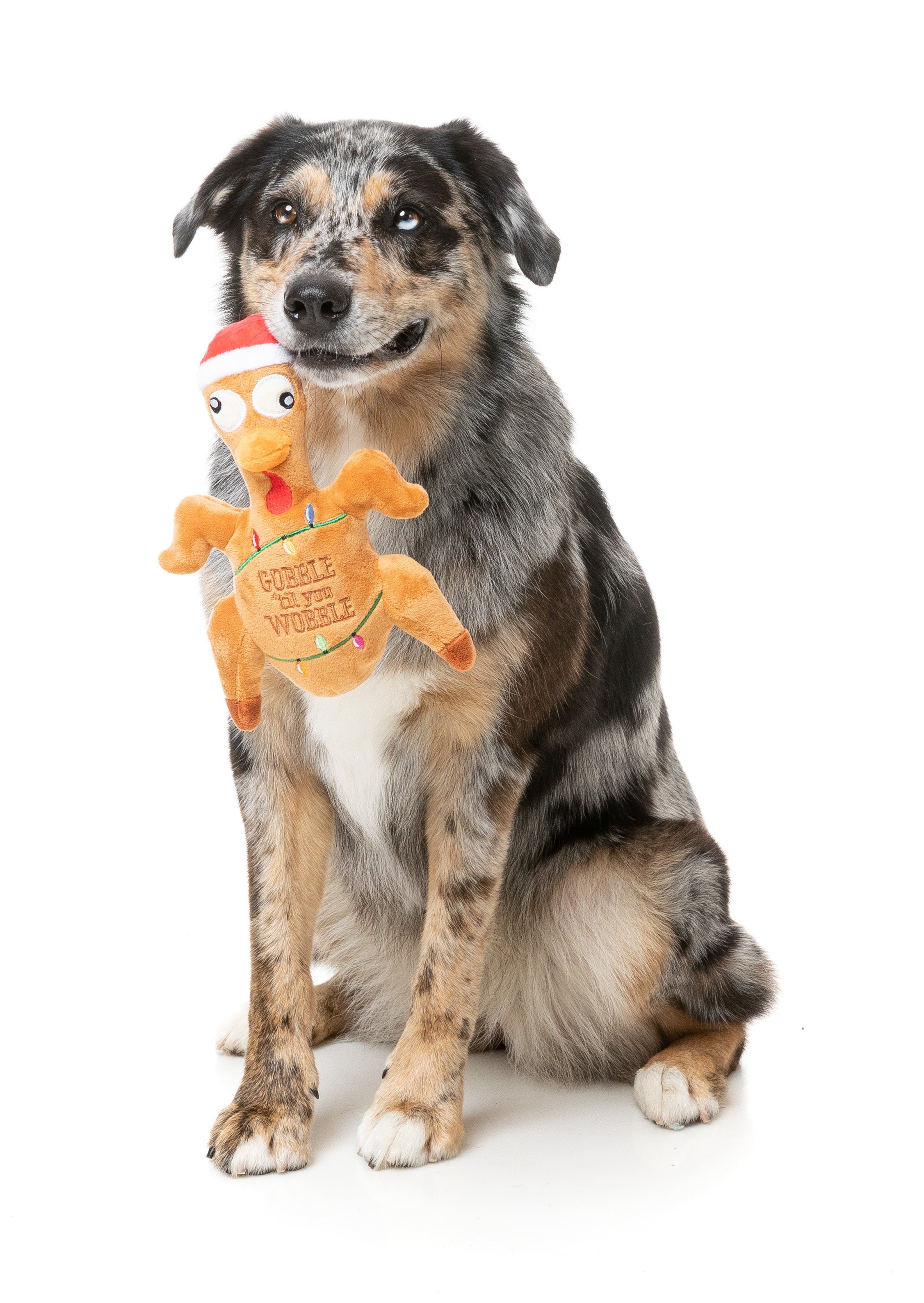 Gobble Til You Wobble Turkey Dog Toy