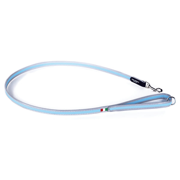 Light blue hotsell dog leash