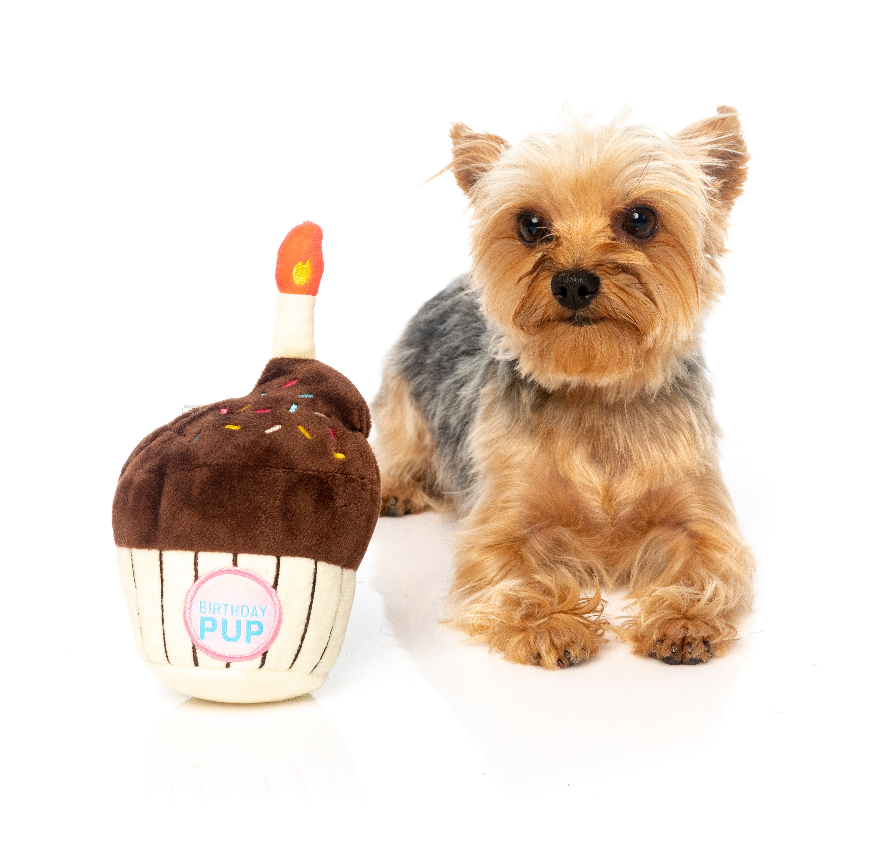 Birthday Cupcake Dog Toy