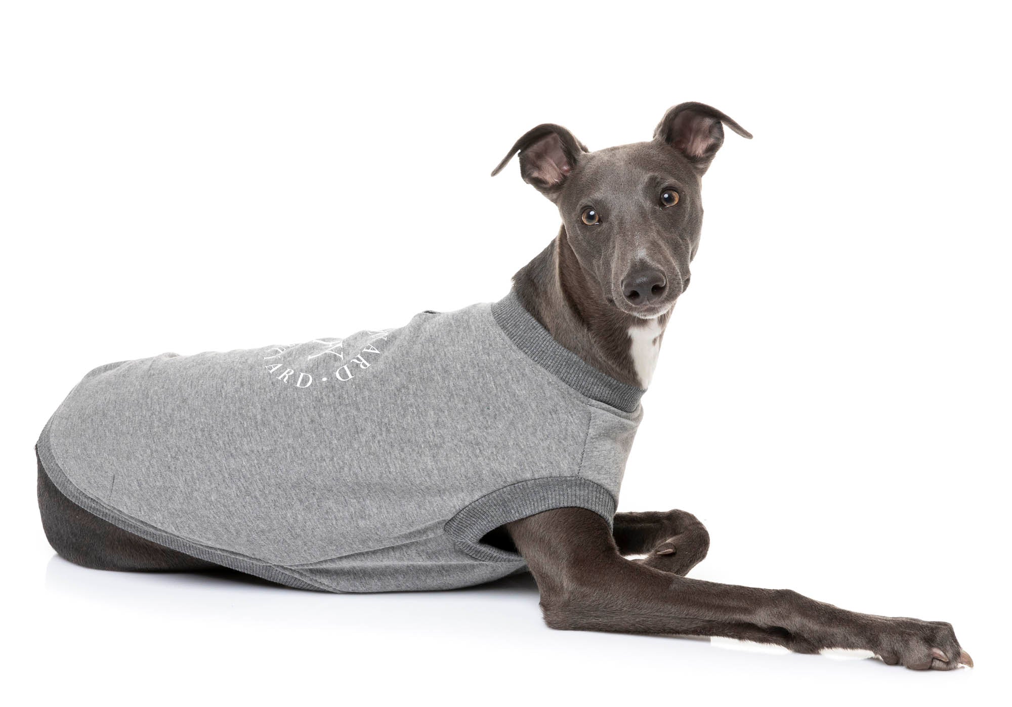 The FY Sweater - Grey - SPECIAL OFFER!