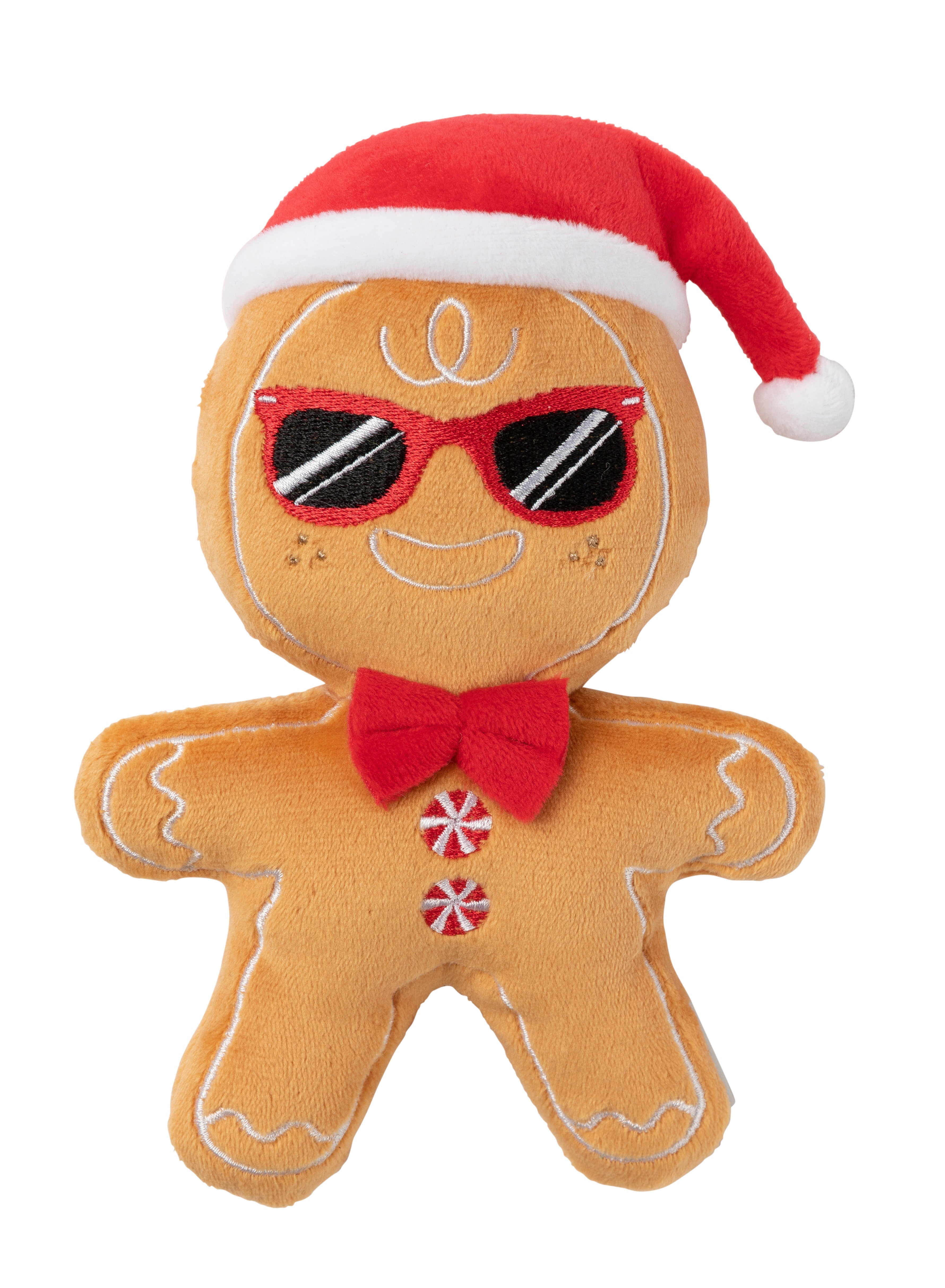 Mr Gingerbread