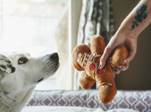 Christmas Gingerbread Man Plush Toy