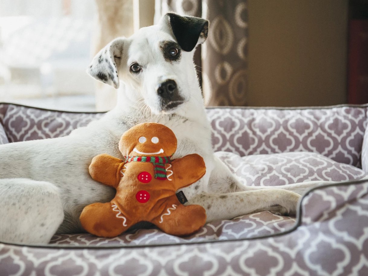 Christmas Gingerbread Man Plush Toy